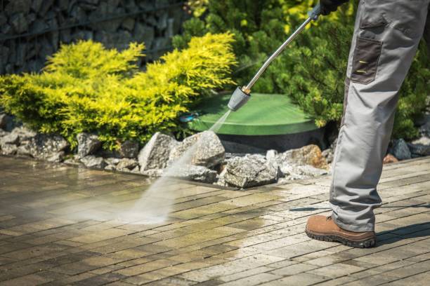 Best Pool Deck Cleaning  in Braidwood, IL